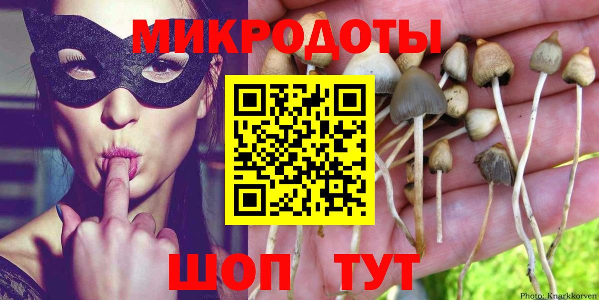 Псилоцибиновые грибы Cubensis Долгопрудный